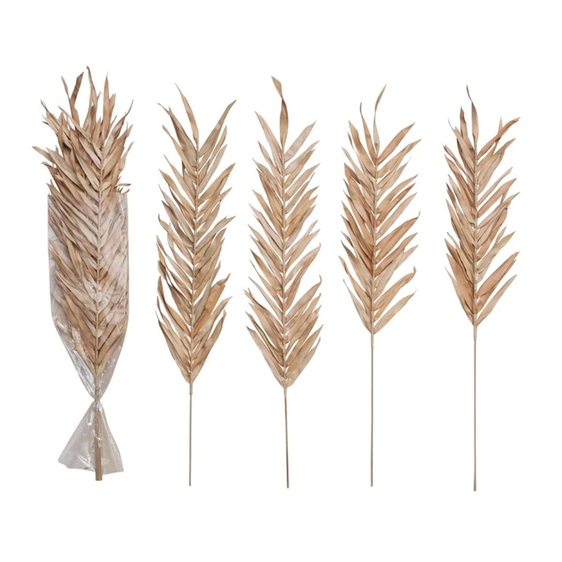 Dried Natural Fountain Palm Bunch Set