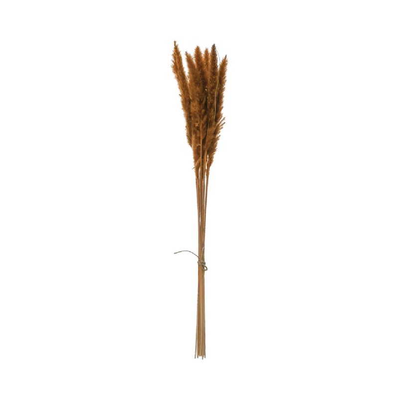 Dried Natural Pampas Grass Bunch – Mustard Color