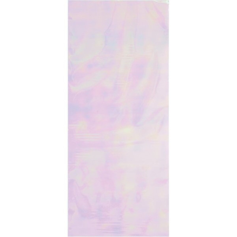 Iridescent Cello Bag