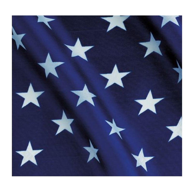 Stars & Stripes Luncheon Napkin