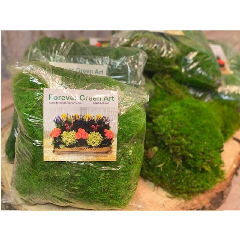 Moss Bag of Mood Moss