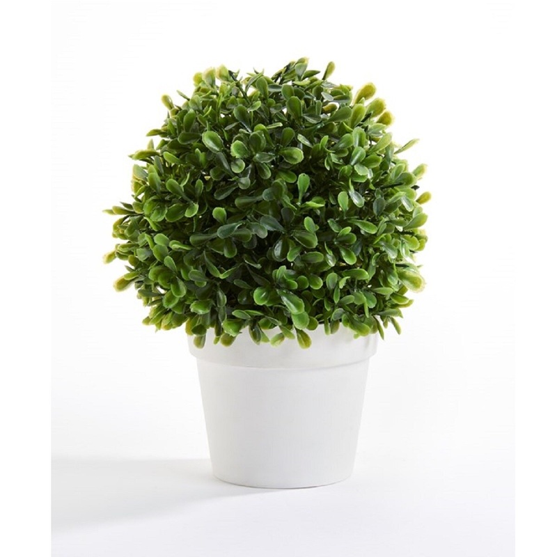 Plant in a Pot w/Displayer(dis)