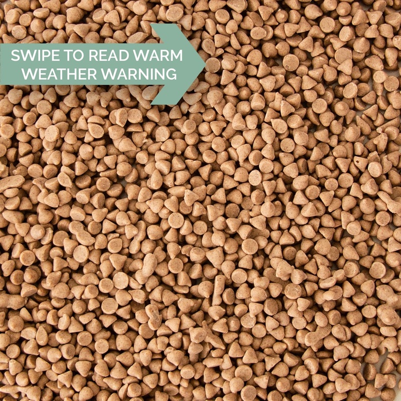 Cinnamon Baking Chips – 50 Lb. Case