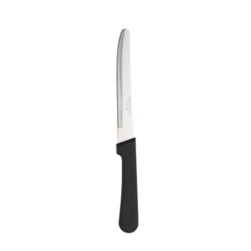 Steak Knives with Plastic Handle – Pack of 12