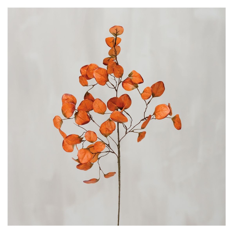 Orange Eucalyptus Pick