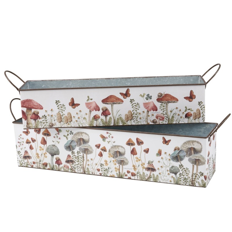 Mushroom Study Bin- Large