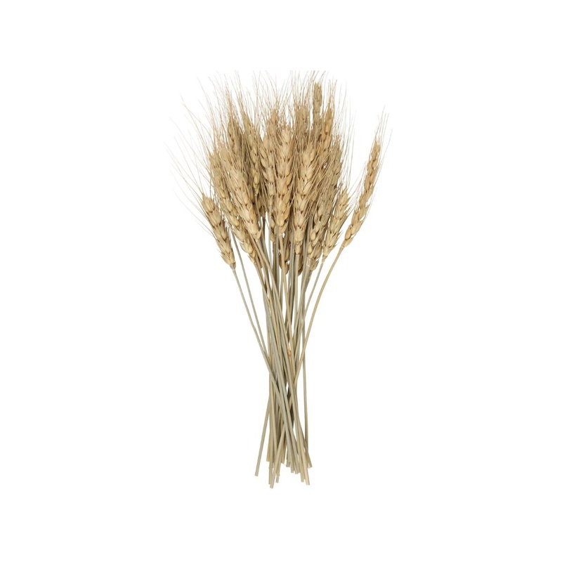 Wheat Bundle