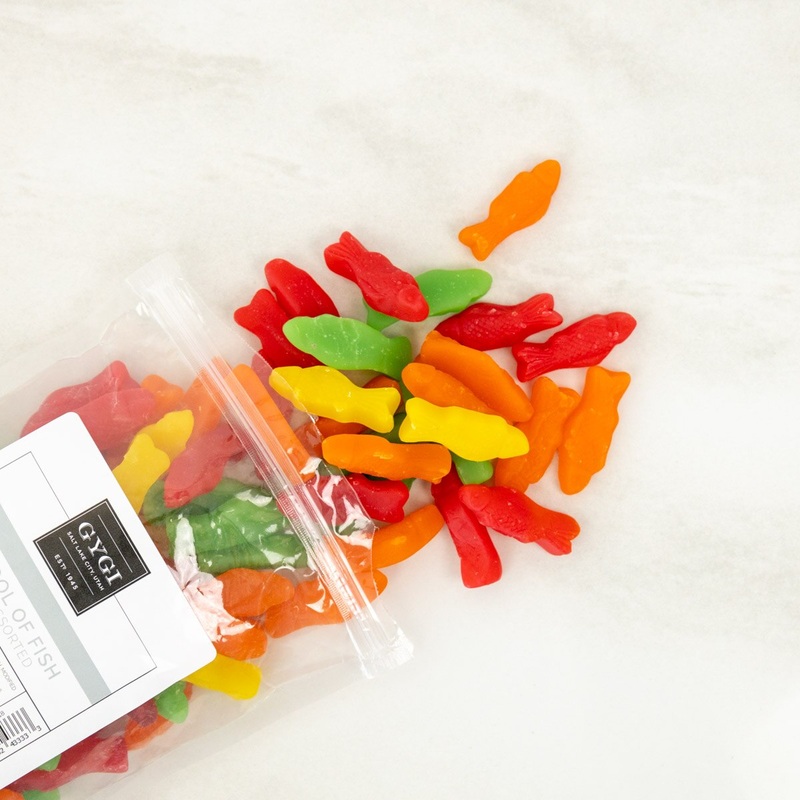 Large Assorted School of Fish – 2 Lb Bag