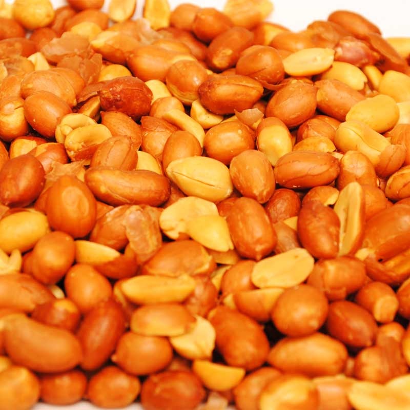 Spanish Roasted (Not Salted) Peanuts – 5 lb. Bag