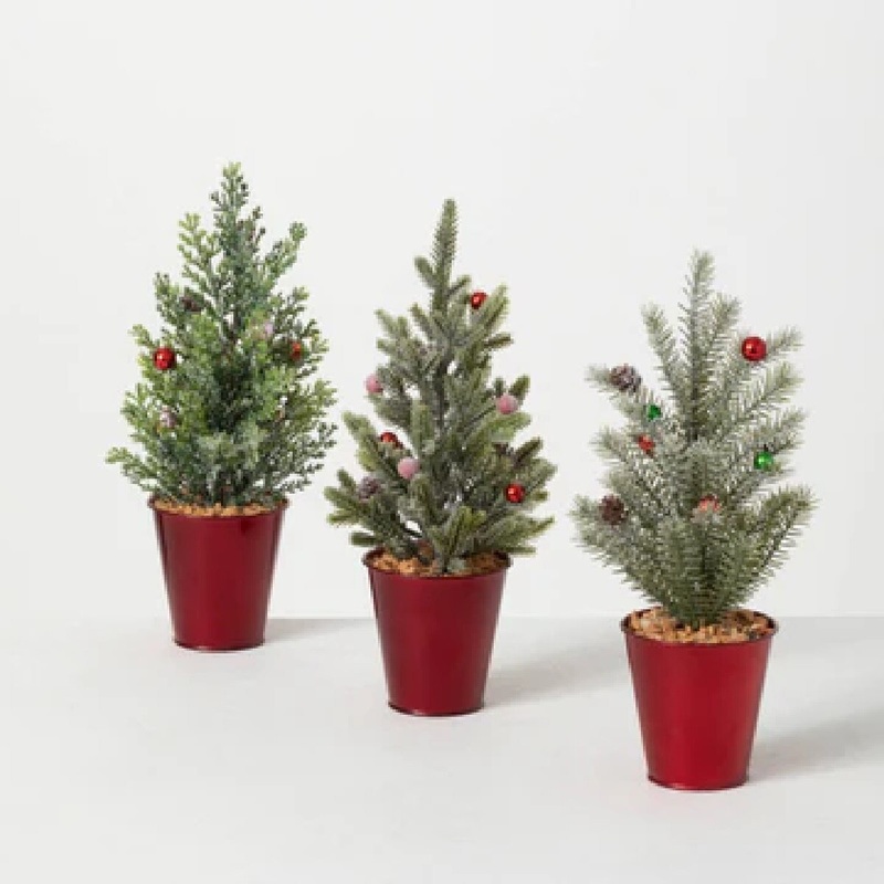 12 Potted Pine Tree