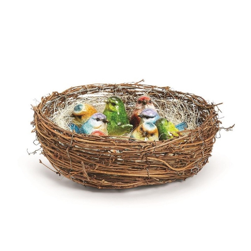 Nesting Bird Display
