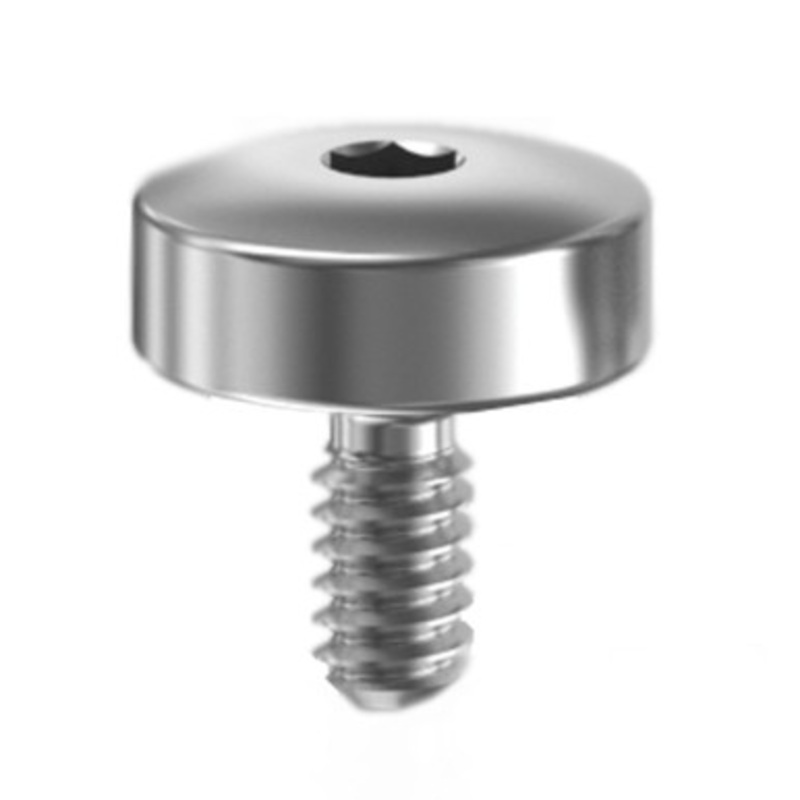 LCN 4840-31 Door Closer with 4840 Series Cover Screw