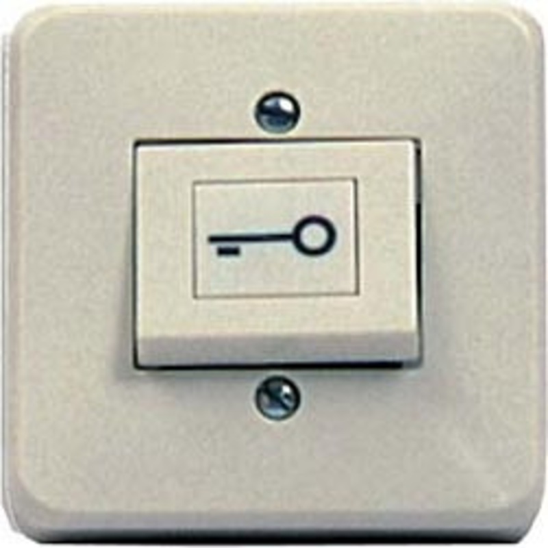 RCI 909 Rocker Specialty Switch