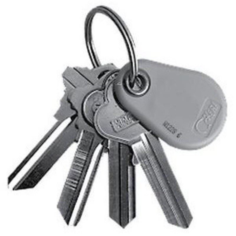 Keri Systems Incorporated Keri Systems PSK-3 Proximity Key Ring Tag (50 Pack)