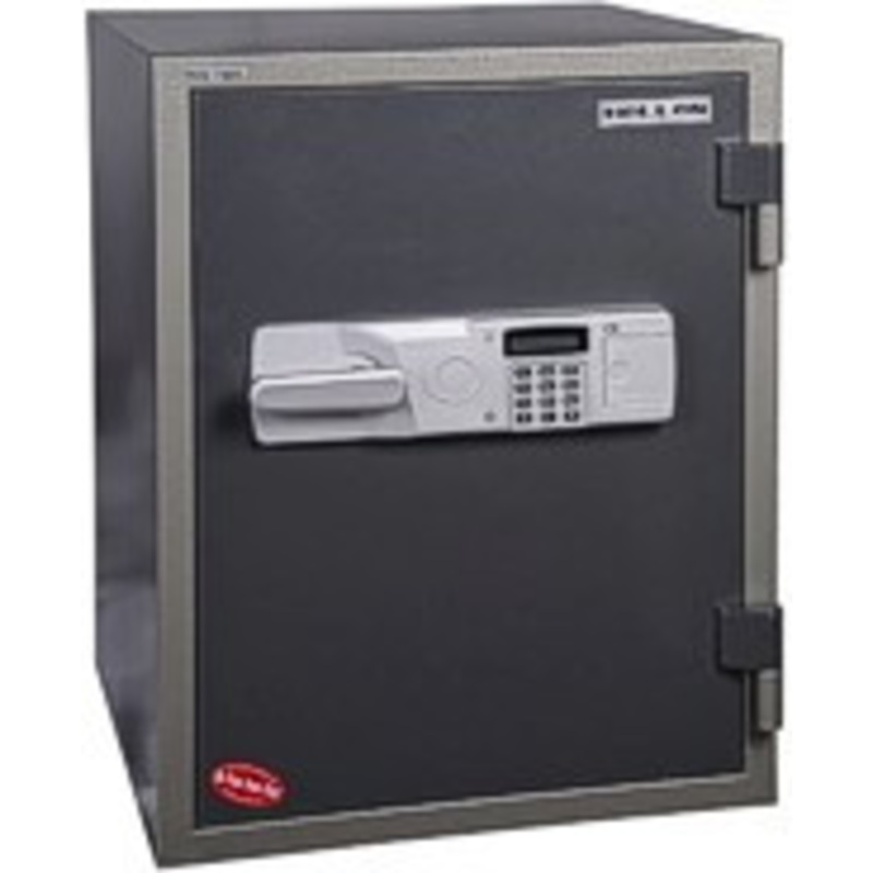 Hollon Safe Data Safe – HDS-750E