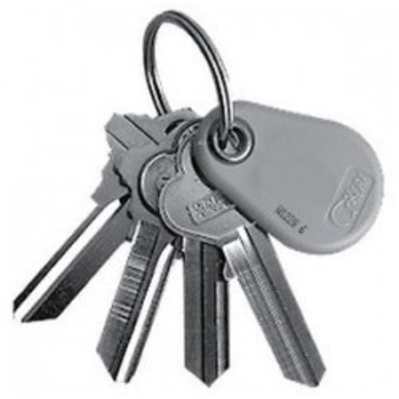 Keri Systems NXT-K Proximity Key Ring Tag (50 Pack)